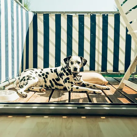 Hundefreundliches H1 108 Spalt